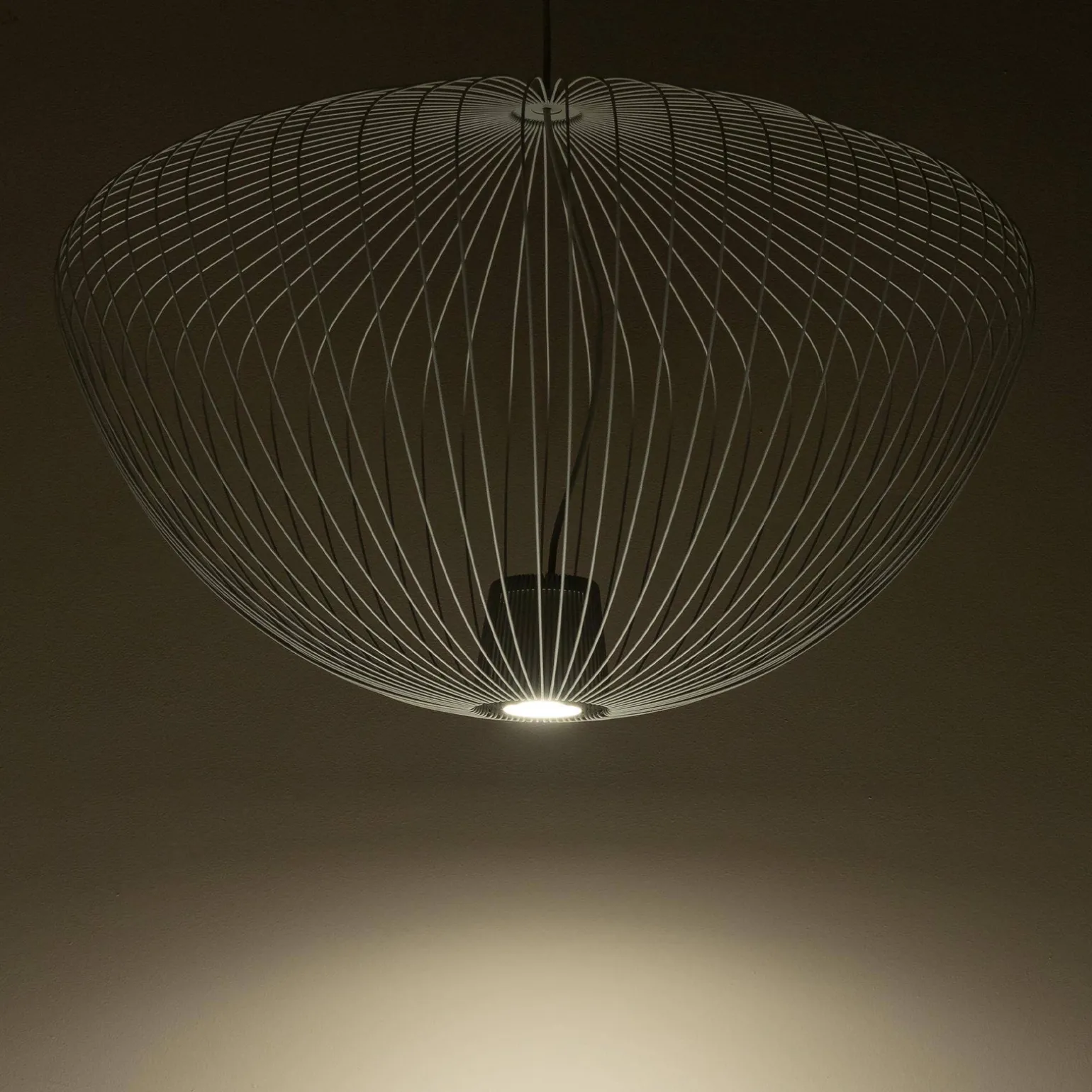 (11251) - Nowodvorski