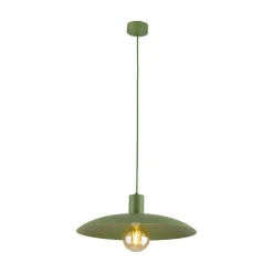 ASTRA PEAPOD 1XE27 LAMPA WISZĄCA (10713) - TK Lighting