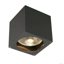 BIG THEO WALL, lampa ścienna outdoor, QPAR111, IP44, kwadratowa, antracytowa, maks. 75W (229565) - SLV