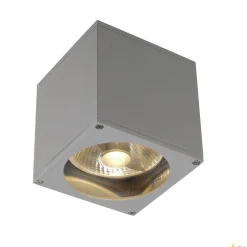 BIG THEO WALL, lampa ścienna outdoor, QPAR111, IP44, kwadratowa, srebrnoszara, maks. 75W (229564) - SLV