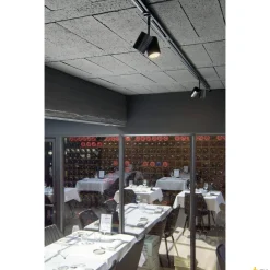 BIMA 2, spot do szyny wysokonapięciowej 1-fazowej, dwupunktowy, QPAR51, czarny mat, maks. 50W, z adapterem 1-fazowym (143430) - SLV