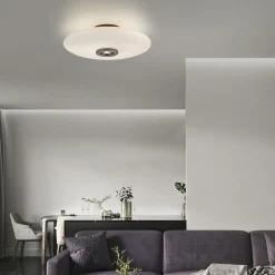 Ściemnialna lampa na sufit PURE VITRUM CIEMNOMETALOWO-BRĄZOWY (6083-34) - Paul Neuhaus