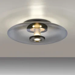 Ściemnialna lampa na sufit PURE VITRUM SZARY (6083-15) - Paul Neuhaus