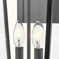 Duża latarnia naścienna Dawson - 2 źródła światła - Czarny, patynowany (HK-DAWSON-L) - Elstead Lighting