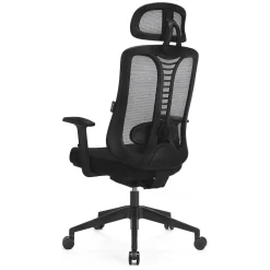 Ergonomiczny fotel z regulacją Ergo Essential (LV0653) - LVN SYSTEM