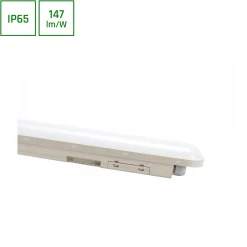 Hermetyczna lampa LIMEA CONNECT HERMETYK IP65 IK08 (SLI028111NW_PW) - Spectrum LED