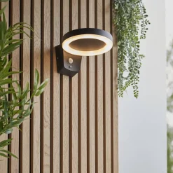 Kinkiet zewnętrzny Ebro (96933) Endon