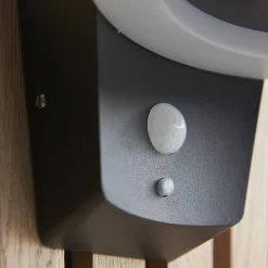 Kinkiet zewnętrzny Ebro (96933) Endon