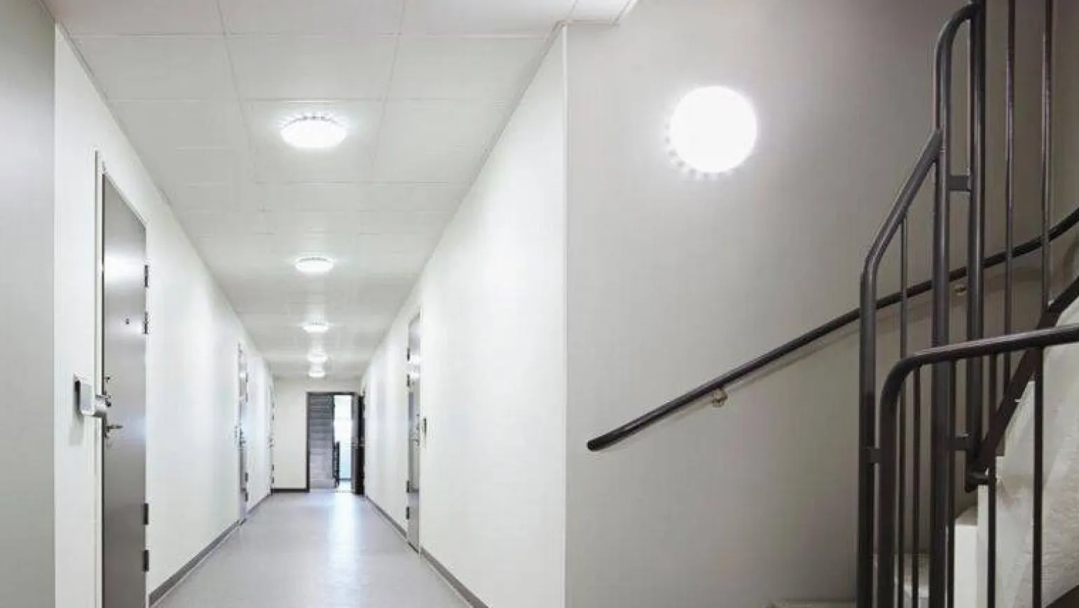 KPL 5 sztuk plafoniera wewnętrzna z czujnikiem ruchu i zmierzchu LED RSPRO S10 SC NW PC MP (ST081928) - STEINEL