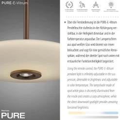 Lampa nad stół z pilotem i z płynną regulacją wysokości PURE E-VITRUM CIEMNOBRĄZOWY (2084-34) - Paul Neuhaus