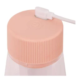 Lampa ogrodowa LORALI (45500/01/66) - Lucide