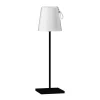 Lampa ogrodowa Ostap (TB-2749-BK) - Italux