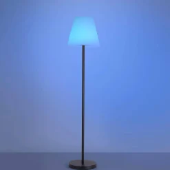 LAMPA PODŁOGOWA HOLLY (19826-18) - Paul Neuhaus