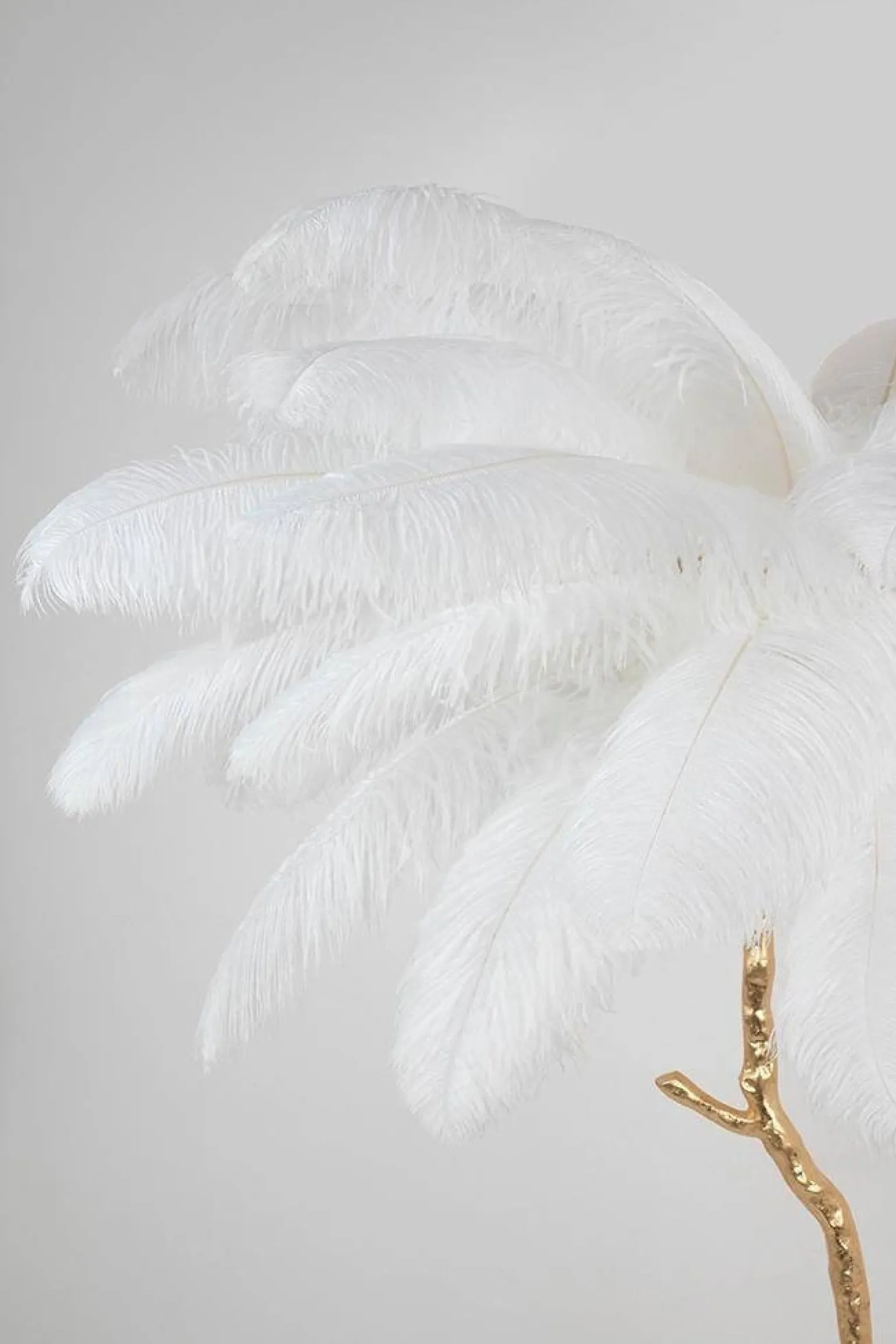 Lampa podłogowa TIFFANY 175 biała mosiądz / naturalne pióra (JL0019.WHITE) - King Home