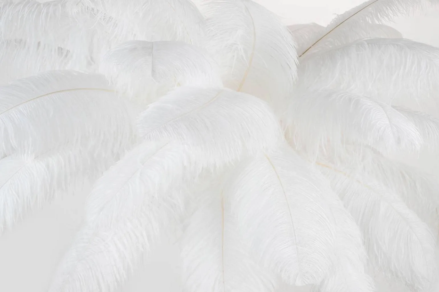 Lampa podłogowa TIFFANY 175 biała mosiądz / naturalne pióra (JL0019.WHITE) - King Home