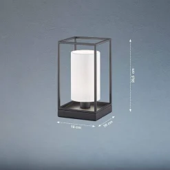 Lampa stołowa Gilli (50577) - Fischer&Honsel