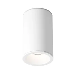 Lampa sufitowa Zoom (C029CL-01-S-W) - Maytoni