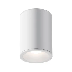 Lampa sufitowa Zoom (C029CL-01W) - Maytoni