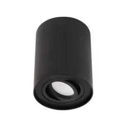 Lampa sufitowa BASIC ROUND (C0068) - Maxlight