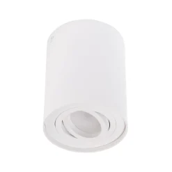 Lampa sufitowa BASIC ROUND (C0067) - Maxlight