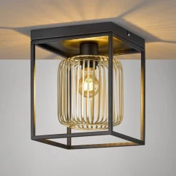Lampa Sufitowa Caydo (21294) - Fischer&Honsel