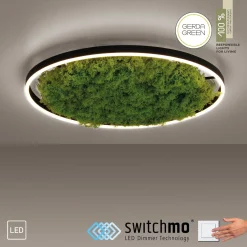 LAMPA SUFITOWA GREEN RITUS (15392-66) - Paul Neuhaus