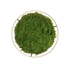 LAMPA SUFITOWA GREEN RITUS (15392-66) - Paul Neuhaus