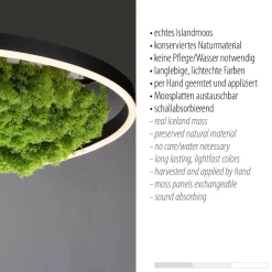 LAMPA SUFITOWA GREEN RITUS (15392-66) - Paul Neuhaus