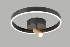 Lampa sufitowa lub naścienna PIGNANO (9206-0110) - Aviano Lighting