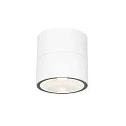 Lampa sufitowa na balkon Spin (O310CL-L5W3K) - Maytoni