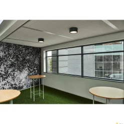 Lampa sufitowa natynkowa FERA 25 CL (1001939) - SLV