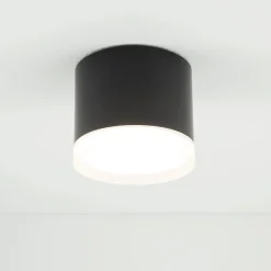 Lampa sufitowa SILBA (10477) - Nowodvorski