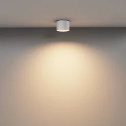 Lampa sufitowa Vega (C089CL-8W3K-W) - Maytoni