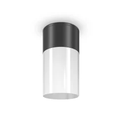 Lampa sufitowa Willis (O418CL-01B) - Maytoni