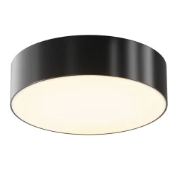 Lampa sufitowa Zon IP 65 (O431CL-L30B3K) - Maytoni