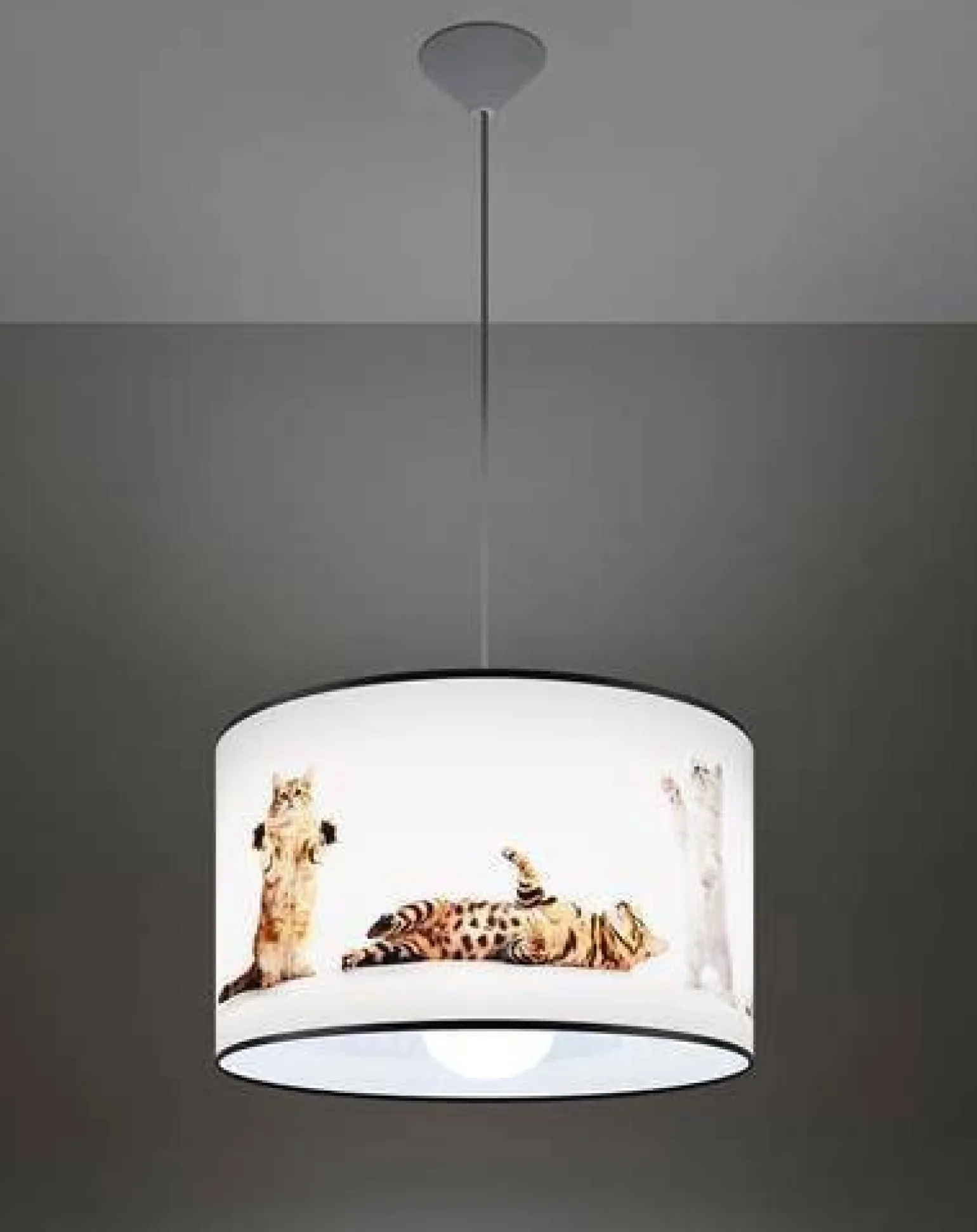Lampa wisząca do pokoju dziecka wzór KOTY 40 (SL.1421) - Sollux Lighting