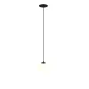 Lampa wisząca Luna (P039PL-5W3K-10INS-B) - Maytoni