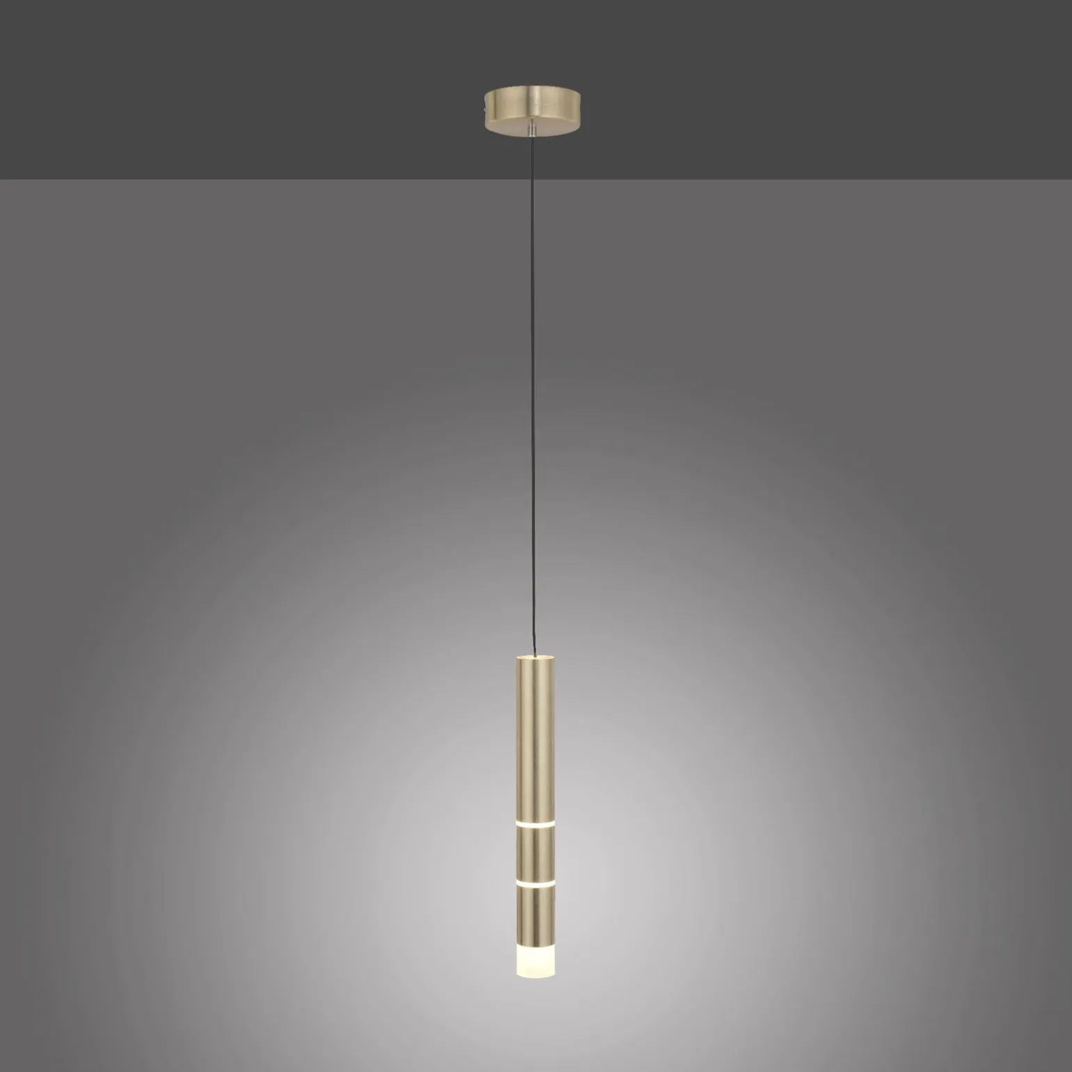 LAMPA WISZĄCA PURE-VEGA (2211-60) - Paul Neuhaus