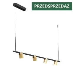 Lampa Wisząca Slide Long 1xLED szczotkowany mosiądz (PL0124-BS) - Yaskr