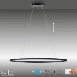 LAMPA WISZĄCA TITUS (2393-13) - Paul Neuhaus