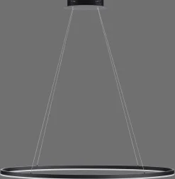 LAMPA WISZĄCA TITUS (2393-13) - Paul Neuhaus