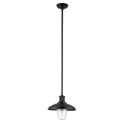 Lampa wisząca zewnętrzna Allenbury (KL-ALLENBURY-P-M-BKT) - Elstead Lighting