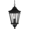 Lampa wisząca zewnętrzna Cotswold Lane (FE-COTSLN8-L-BK) - Elstead Lighting