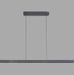 Lampa z płynną regulacją wysokości i szerokości PURE-MOTO-RISE CZARNY PERŁOWY (2545-18) - Paul Neuhaus