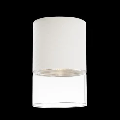 MAXLIGHT C0276 LAMPA SUFITOWA FUSION BIAŁA