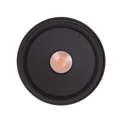 MAXLIGHT C0266 LAMPA SUFITOWA VECTOR 10W CZARNA