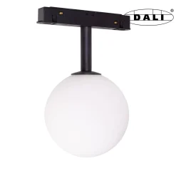 MAXLIGHT M0016D LAMPA MAGNETYCZNA SYSTEM DALI 6W 525LM 3000K