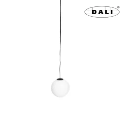 MAXLIGHT M0017D LAMPA WISZĄCA MAGNETYCZNA SYSTEM DALI 6W 525LM 3000K