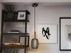 Micron lampa wisząca 1L (413510) - Schuller