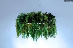 MOOSEE lampa wisząca GARDENS 50 czarna (MSE1501100557) - Moosee